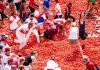 Nét độc đáo lễ hội ném cà chua La Tomatina