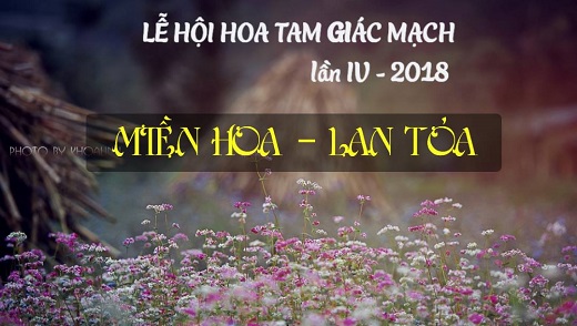 Lễ hội hoa tam giác mạch Hà Giang 2018