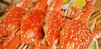 Ghẹ Hàm Ninh Phú Quốc- đặc sản của du lịch Phú Quốc