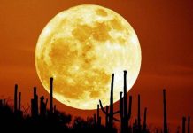 Giải mã giấc mơ thấy mặt trăng có ý nghĩa gì?