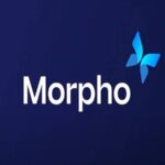 morpho protocol3