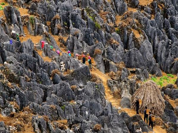 Khám phá vùng cao nguyên đá Hà Giang hùng vĩ