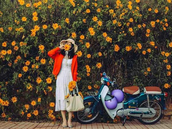 Đi Đà Lạt mùa nào rẻ nhất?