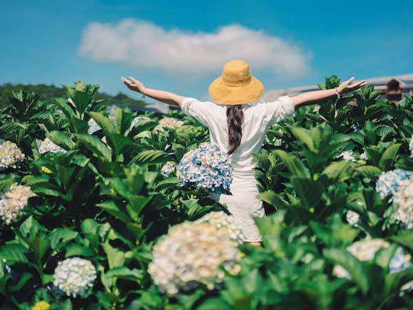 Đà Lạt nằm trên cao nguyên Lâm Viên, thuộc tỉnh Lâm Đồng