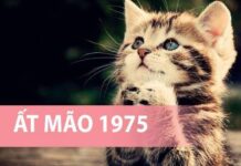 Con số đẹp tuổi Ất Mão 3/12/2025 hôm nay có gì đặc biệt? Giải mã con số đẹp tuổi Ất Mão 3/11/2025 hôm nay có gì đặc biệt?