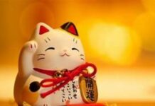 con số may mắn tuổi Kỷ Mão ngày 14/1/2026