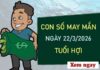 Con số may mắn hôm nay 22/3/2026 chủ nhật tuổi Hợi Con số may mắn hôm nay 22/3/2026 chủ nhật tuổi Hợi
