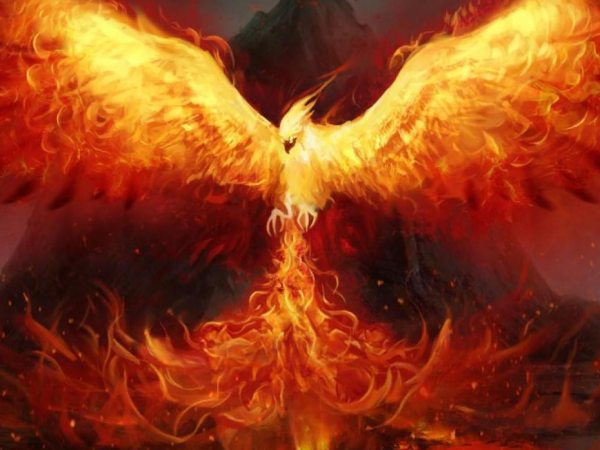 Mơ thấy phượng hoàng lửa