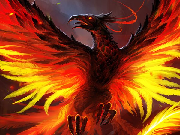 Mơ thấy phượng hoàng hên hay xui, giải mã con số chi tiết