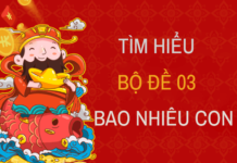 Bộ đề 03 gồm những con gì, ý nghĩa cặp số 03 chi tiết? Khái niệm bộ đề 03 là gì, gồm những số nào?