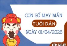 con số may mắn ngày 01/04/2026 tuổi Dần