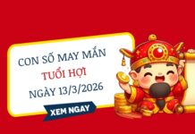Con số may mắn ngày 13/03/2026 tuổi Hợi đón tài lộc thứ 6